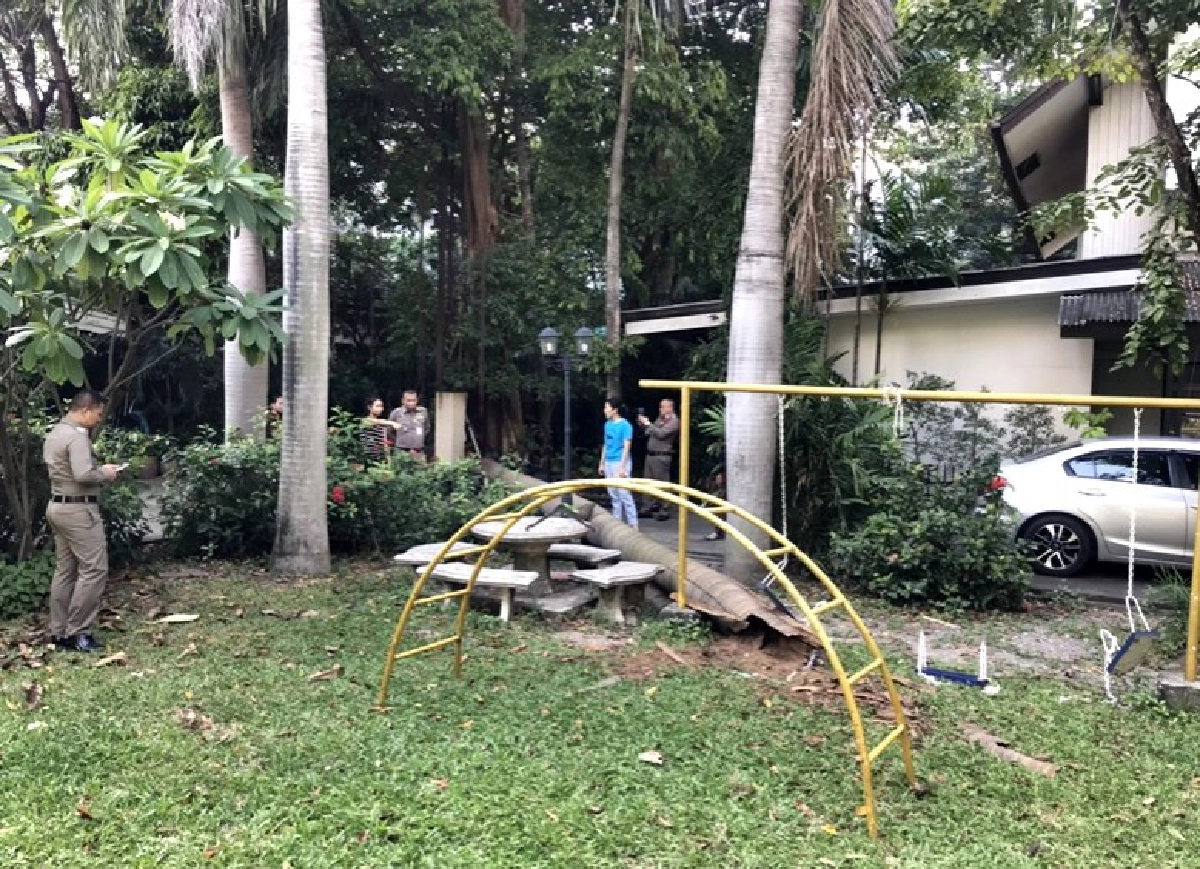 เศร้า สูญเสีย ดร.เดือนเด่น ต้นไม้ล้มทับ