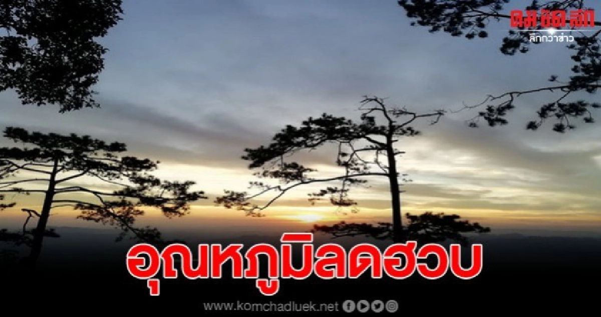 อำเภอด่านซ้าย อุณหภูมิลดฮวบหนาวเย็น ยอดภูเรือ 10 องศา