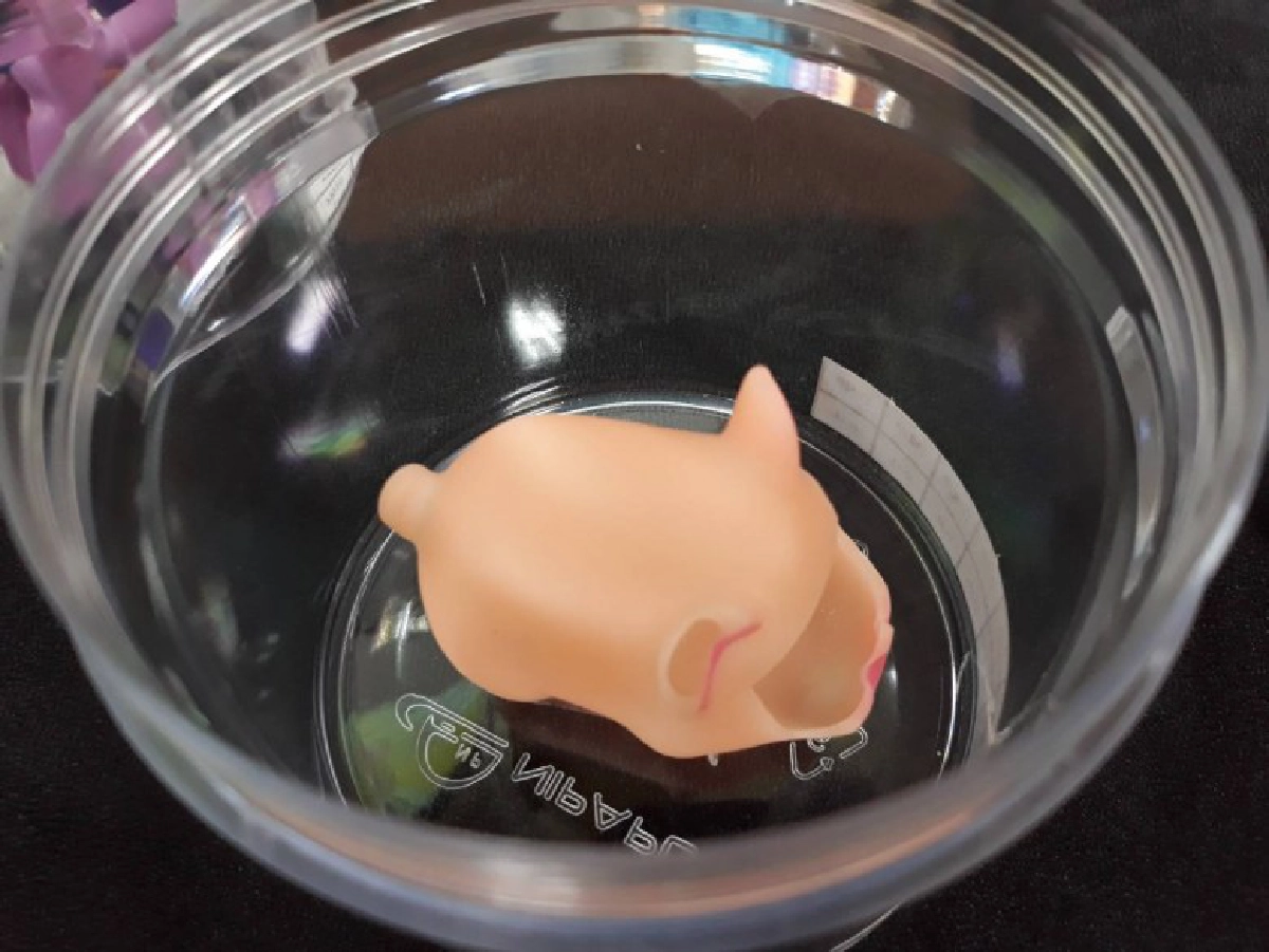 อันตราย พบสารทาเลตในของเล่นเด็ก เสี่ยงฮอร์โมนผิดปกติ