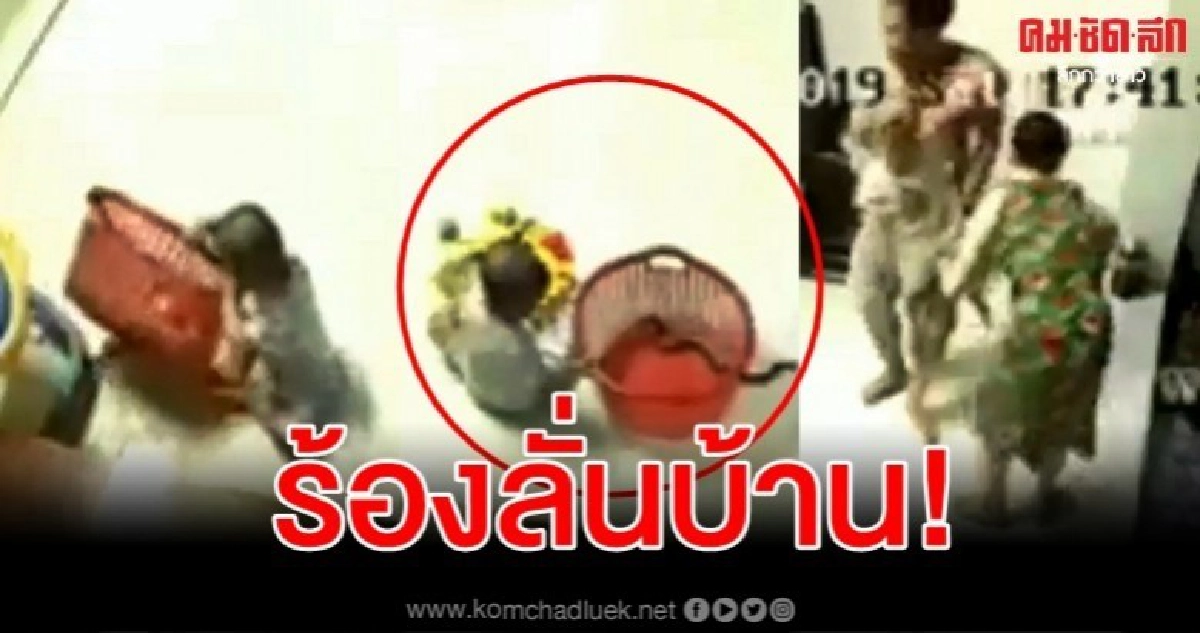 อุทาหรณ์ งูซุกในตะกร้าของเล่นฉกเด็กร้องลั่นบ้าน