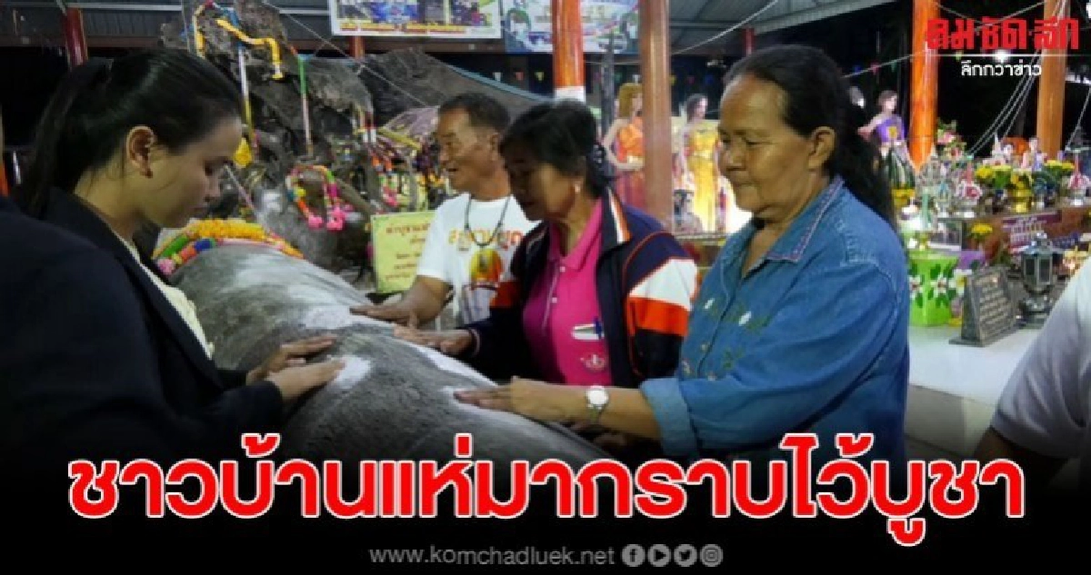 ชาวบ้านแห่กราบไหว้บูชา เจ้าแม่ตะเคียน หวังได้โชคลาภ ชาวบ้านแห่กราบไหว้บูชา เจ้าแม่ตะเคียน หวังได้โชคลาภ