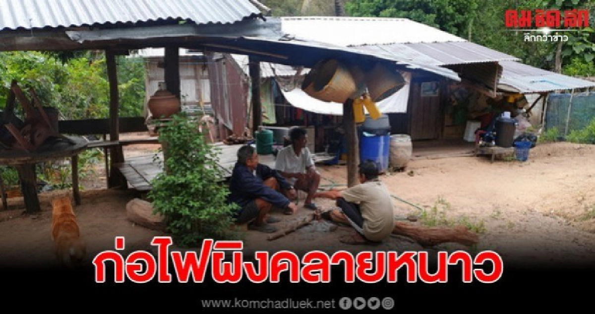 เลยหนาวได้ใจ 10-13 องศา ชาวบ้านยอดภู ก่อไฟผิงคลายหนาว เลยหนาวได้ใจ 10-13 องศา ชาวบ้านยอดภู ก่อไฟผิงคลายหนาว