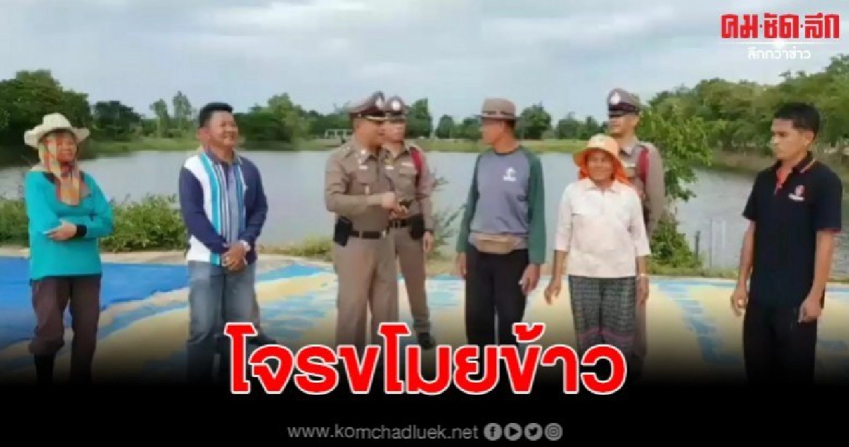 คุมเข้มร่วมสนธิกำลังออกตรวจเฝ้าระวังกลุ่มโจรลักขโมยข้าว คุมเข้มร่วมสนธิกำลังออกตรวจเฝ้าระวังกลุ่มโจรลักขโมยข้าว