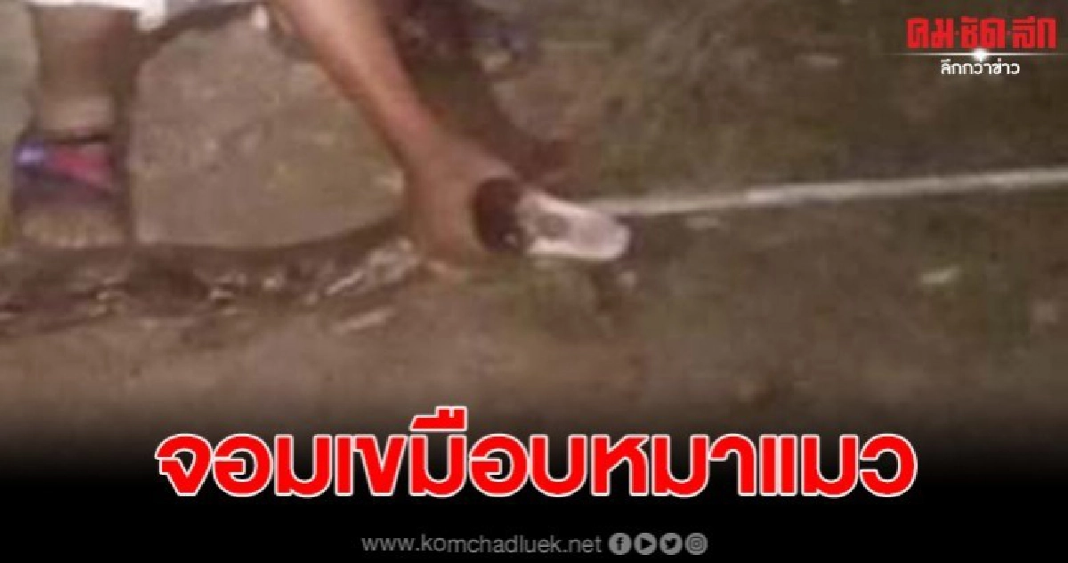 เหลือมบุกบ้าน ก่อนเคยเขมือบหมาแมวเกลี้ยงบ้าน