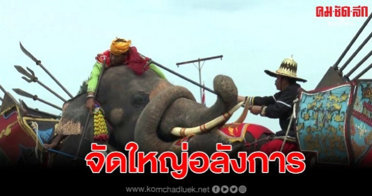  งานประเพณีแข่งขันเรือยาวชิงถ้วยพระราชทาน