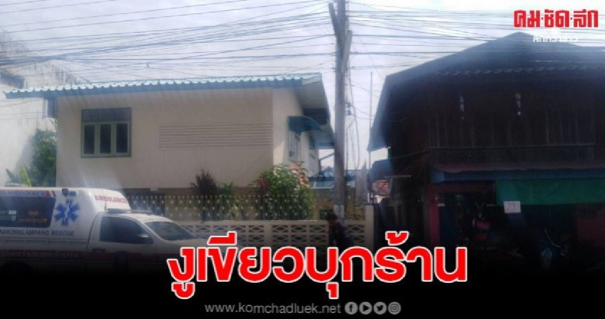 เจ้าของร้านเสริมสวยผวางูเขียวบุกร้านเตรียมย้ายหนี เจ้าของร้านเสริมสวยผวางูเขียวบุกร้านเตรียมย้ายหนี