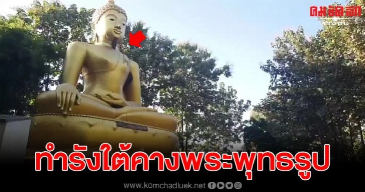 ผึ้งหลวงทำรังใต้คาง พระพุทธรูป ศักดิ์สิทธิ์ ในวัด