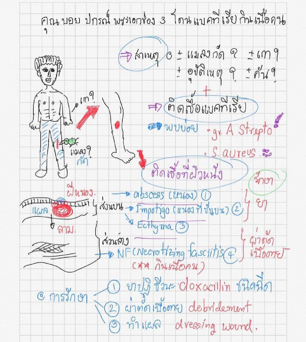  เพจดังเผยวิธีป้องกันแมลงกินเนื้อคน รักษาหายขาดได้ 