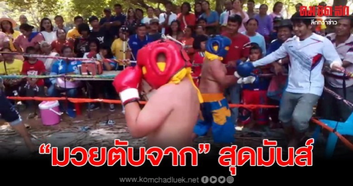 สีสัน ศึก"มวยตับจาก" สุดมันส์ งานทอดกฐินวัดศรีเทพน้อย