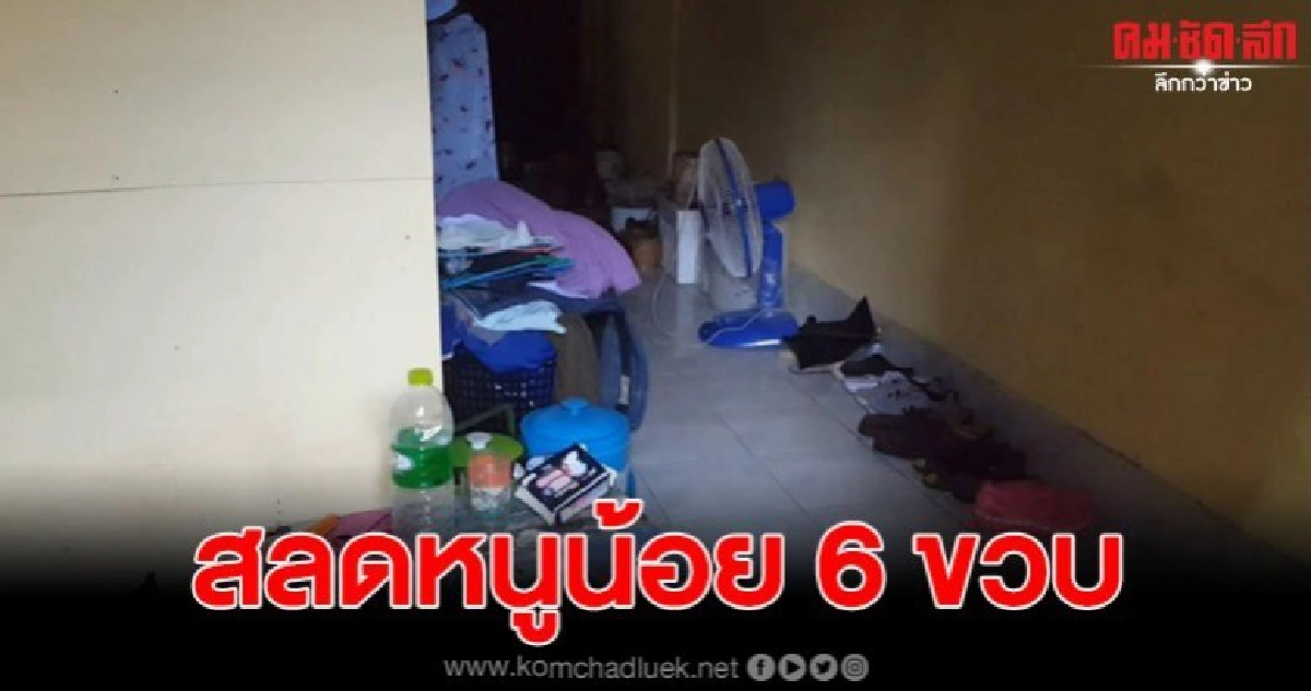 แม่ป่วยทางจิต ปลิดชีพลูกสาวตัวเองวัย 6 ขวบพร้อมนอนกอด แม่ป่วยทางจิต ปลิดชีพลูกสาวตัวเองวัย 6 ขวบพร้อมนอนกอด