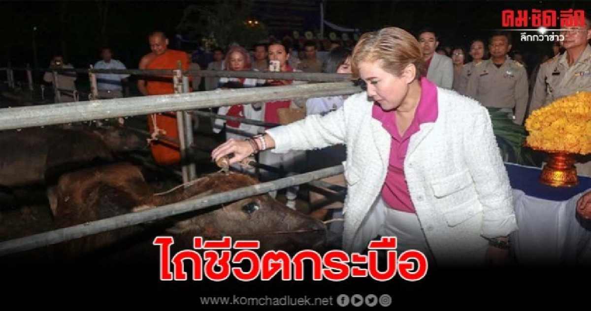 มล.สราลี กิตติยากร ไถ่ชีวิตกระบือถวายพระองค์เจ้าโสมสวลีฯ มล.สราลี กิตติยากร ไถ่ชีวิตกระบือถวายพระองค์เจ้าโสมสวลีฯ