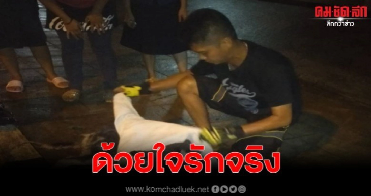 หนุ่มเห็นเป็นไม่ได้ ต้องโร่เข้าช่วยเหลือ หลังพบหมาถูกรถชน หนุ่มเห็นเป็นไม่ได้ ต้องโร่เข้าช่วยเหลือ หลังพบหมาถูกรถชน