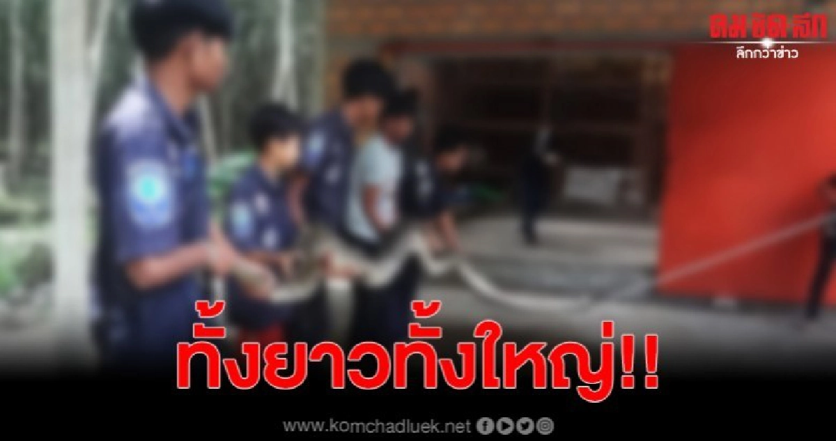 อนาคอนด้าเมืองไทย บุกเลื้อยเขมือบหมูดิน จนท.ยังผวา อนาคอนด้าเมืองไทย บุกเลื้อยเขมือบหมูดิน จนท.ยังผวา