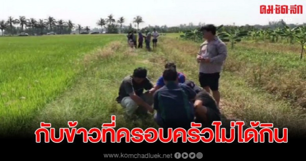พบพระนอนมรณภาพอยู่กลางทุ่งนา คาดวูบจากโรคประจำตัว พบพระนอนมรณภาพอยู่กลางทุ่งนา คาดวูบจากโรคประจำตัว