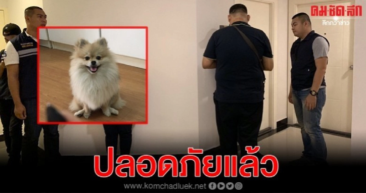 สอบเจ้าของ ปมคลิปร้อนโซเชียลจุดไฟเผาน้องหมา สอบเจ้าของ ปมคลิปร้อนโซเชียลจุดไฟเผาน้องหมา