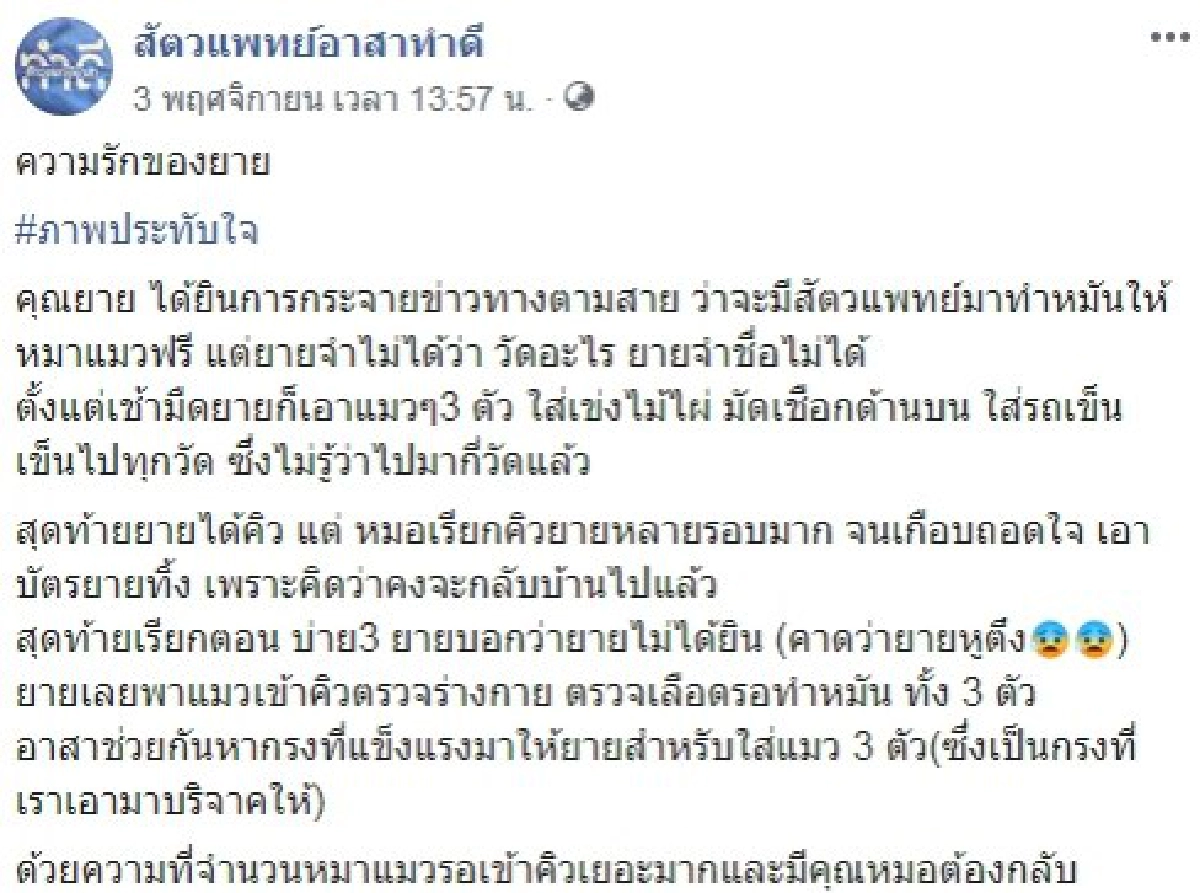 ยายพาแมวไปทำหมันฟรีแต่เช้ามืด แม้รอนานก็ไม่ถอดใจ