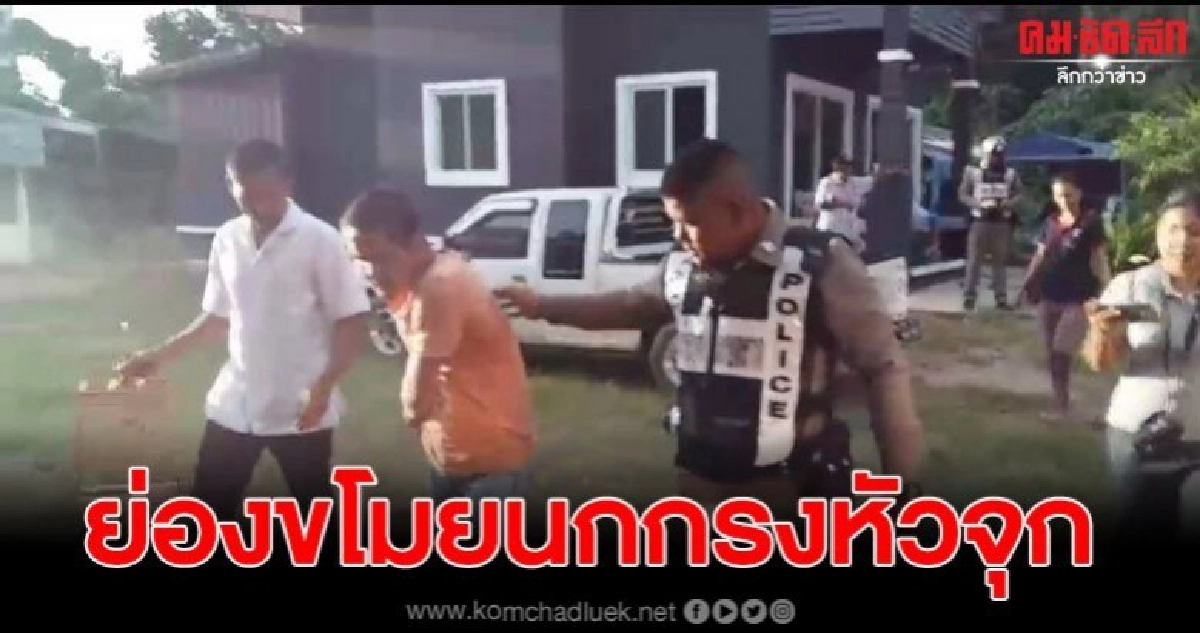 หนุ่มริเป็นโจร แอบย่องขโมยนกกรงหัวจุก ราคาเรือนแสน