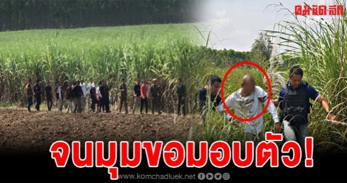 จับแล้ว หน่อย ผู้ต้องหาแหกคุก จนมุมขอมอบตัวกลัวถูกจับตาย จับแล้ว หน่อย ผู้ต้องหาแหกคุก จนมุมขอมอบตัวกลัวถูกจับตาย
