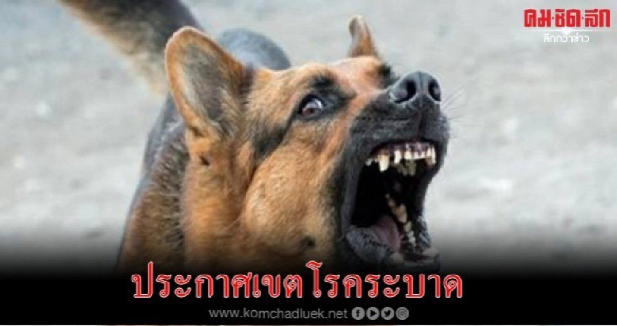 ประกาศเขตโรคระบาด