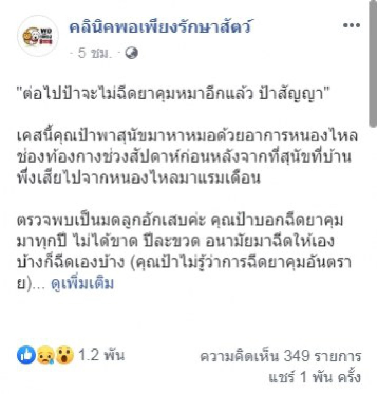ป้าพาสุนัขไปหาหมอ พบเนื้อขนาดใหญ่ในมดลูก เผยยาคุมเป็นเหตุ