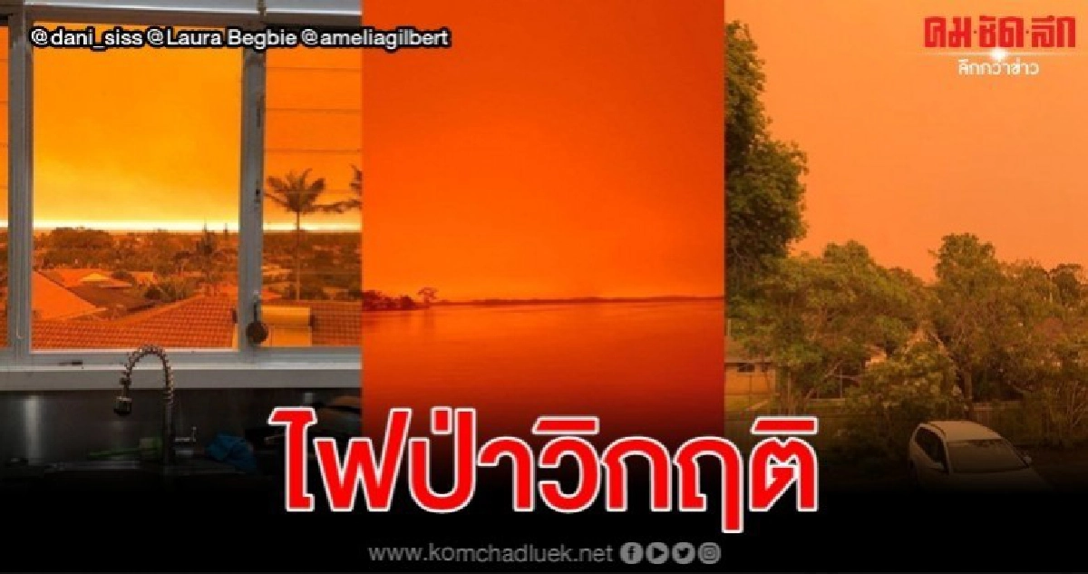 เปิดคลิป-ภาพไฟป่าสุดสะพรึงในรัฐนิวเซาท์เวลส์ เปิดคลิป-ภาพไฟป่าสุดสะพรึงในรัฐนิวเซาท์เวลส์