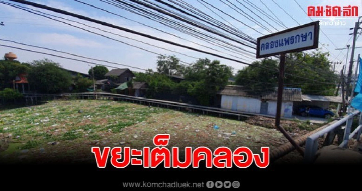 ชาวบ้านย่านแพรกษาโวย ไร้หน่วยงานท้องถิ่นแก้ไขปัญหาขยะในคลอง ชาวบ้านย่านแพรกษาโวย ไร้หน่วยงานท้องถิ่นแก้ไขปัญหาขยะในคลอง
