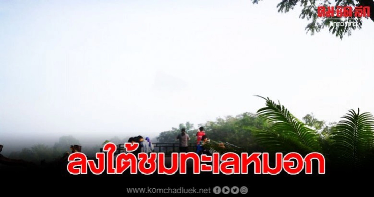 นทท.แห่ชมหมอกยามเช้า รับลมหนาว ดินแดงดอย นทท.แห่ชมหมอกยามเช้า รับลมหนาว ดินแดงดอย