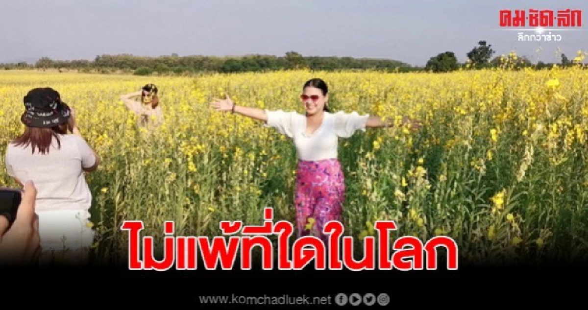 แวะกินไก่ย่างวิเชียรบุรี แล้วถ่ายรูปฟรี แวะกินไก่ย่างวิเชียรบุรี แล้วถ่ายรูปฟรี