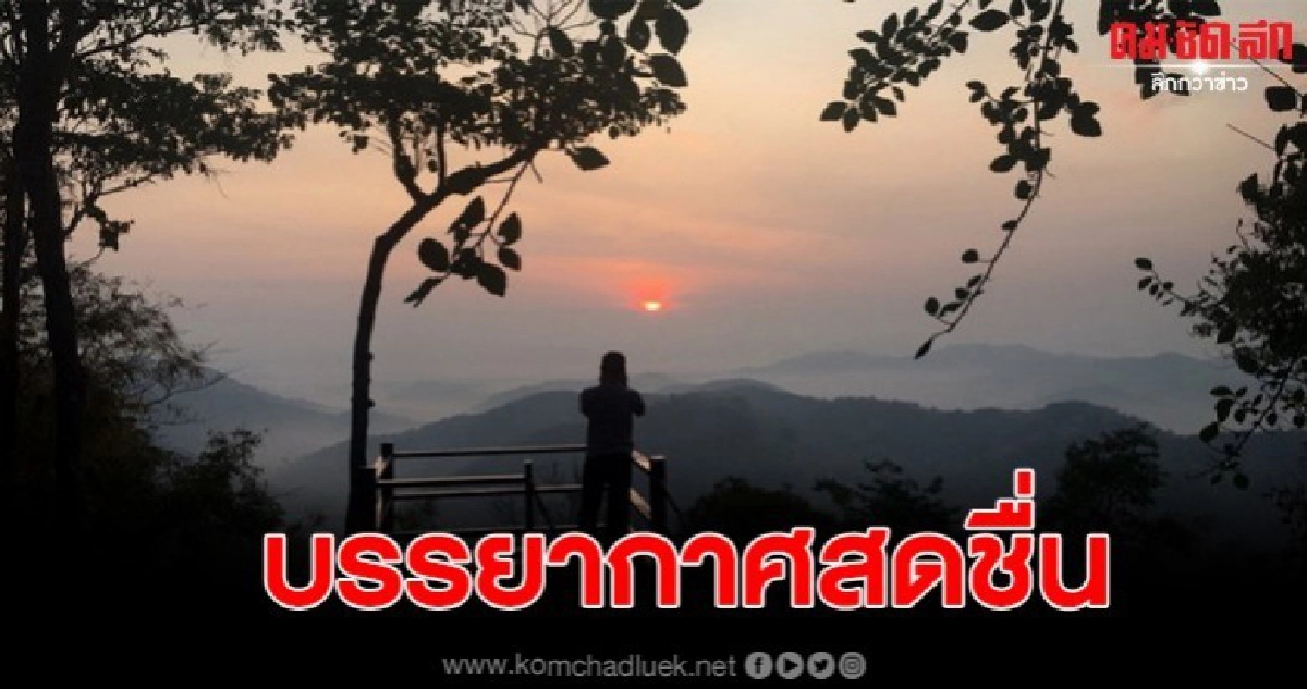 เมืองเลยหนาวเย็นต่อเนื่อง นทท ขึ้นภูบ่อบิดชมพระอาทิตย์ขึ้น เมืองเลยหนาวเย็นต่อเนื่อง นทท ขึ้นภูบ่อบิดชมพระอาทิตย์ขึ้น