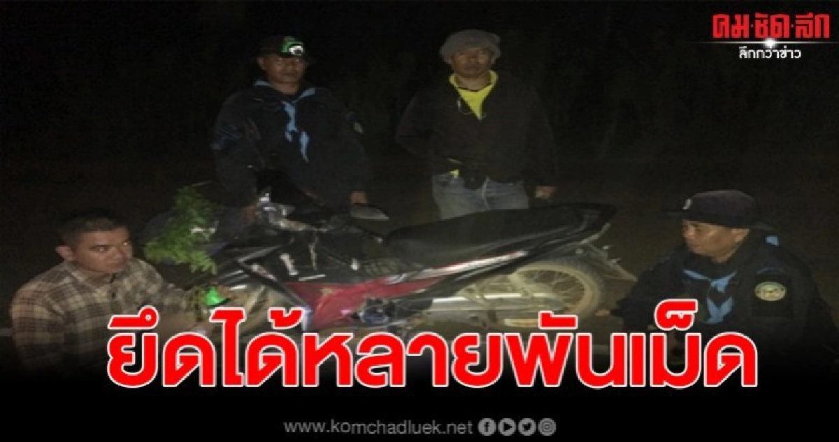 ตำรวจปากชม กวาดล้างช่วงลอยกระทง ยึดยาบ้า 3,963 เม็ด ตำรวจปากชม กวาดล้างช่วงลอยกระทง ยึดยาบ้า 3,963 เม็ด
