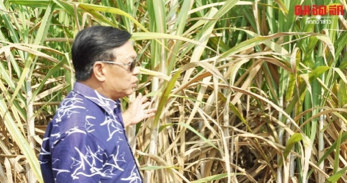 เดินหน้าเต็มสูบตั้งสถาบันเกษตรอินทรีย์แห่งชาติ 