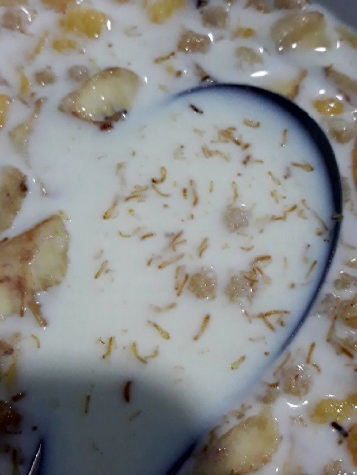 ถึงกับผงะ ซื้อซีเรียลมากินมื้อค่ำเจอ มอด-หนอน ลอยเต็มถ้วย 