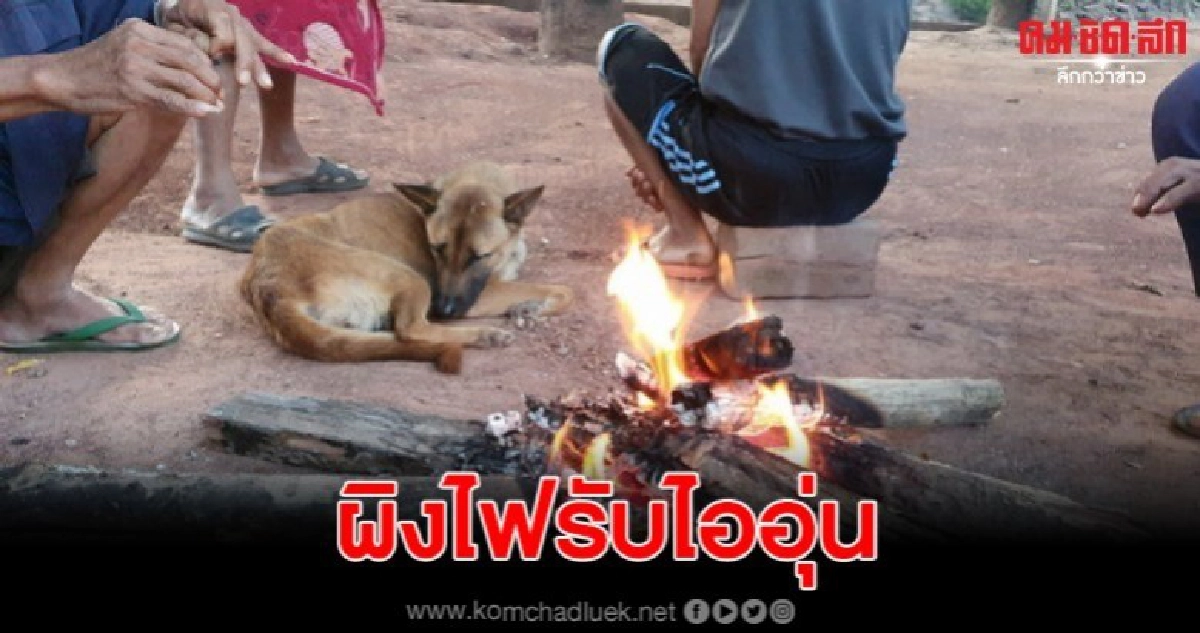 ชาวบ้านหนาวผิงไฟ  ภูกระดึงคึกคัก นทท ชมพระอาทิตย์ขึ้น10 องศา