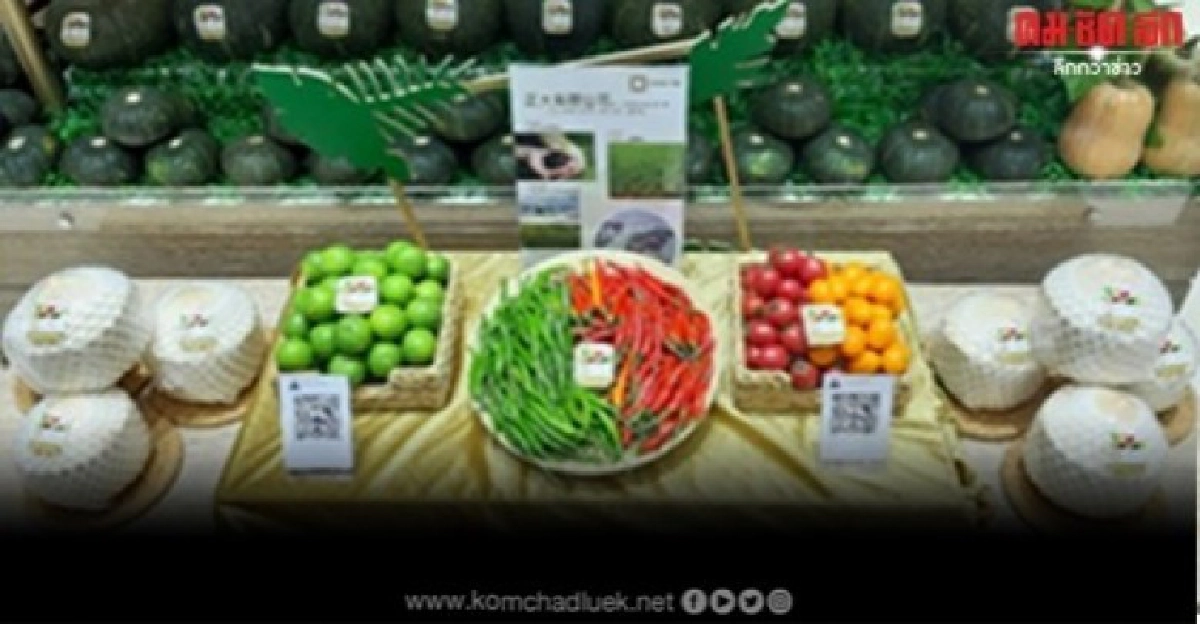 เจียไต๋ ร่วมงานมหกรรมแสดงสินค้านำเข้านานาชาติจีน (CIIE) 2019