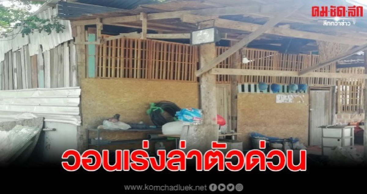 โจรแสบวางยาสุนัขนับ 10 ก่อนบุกงัดโกดังเก็บเครื่อง