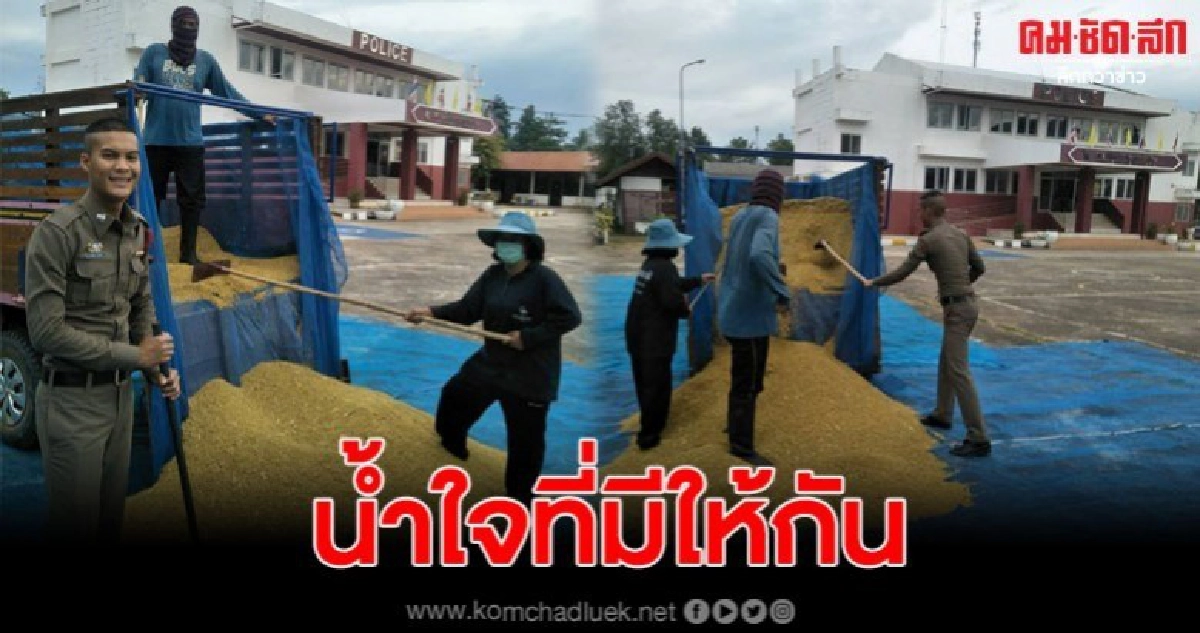 สถานีตำรวจภูธรสว่างสกลนคร เอื้อเฟื้อสถานที่ให้ตากข้าว สถานีตำรวจภูธรสว่างสกลนคร เอื้อเฟื้อสถานที่ให้ตากข้าว