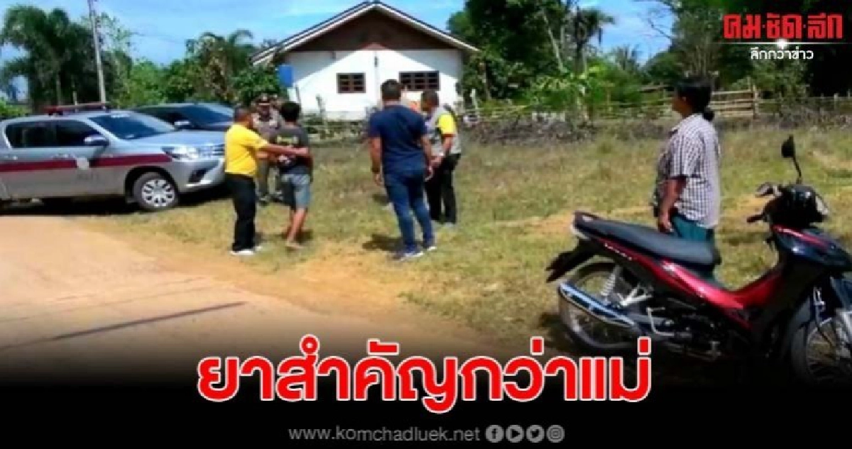ลูกบังเกิดเกล้าถีบแม่ล้มคว่ำชิงเอาจยย. ไปแลกยาบ้า ลูกบังเกิดเกล้าถีบแม่ล้มคว่ำชิงเอาจยย. ไปแลกยาบ้า