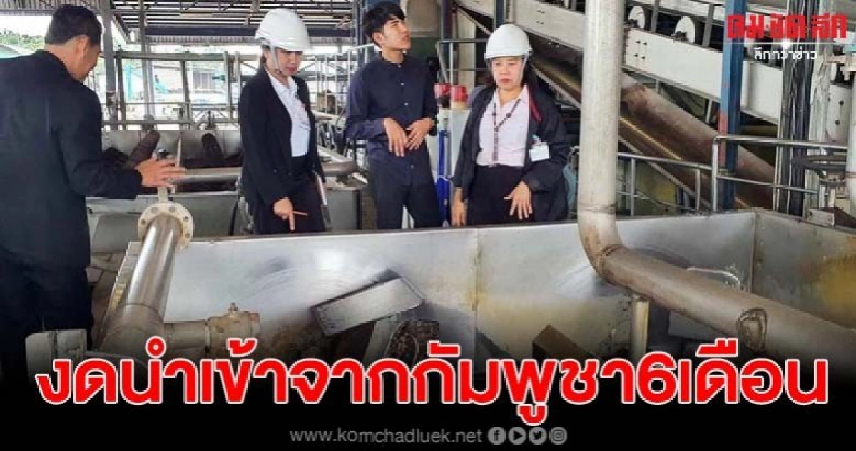 พาณิชย์ตรวจโรงงานแป้งมันสำปะหลังสระแก้ว งดนำเข้าจากกัมพูชา