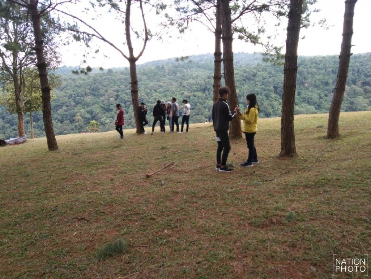 ห้ามพลาด ทุ่งดอกกระดาษภูหินร่องกล้า บานสะพรั่งพร้อมรับนทท.