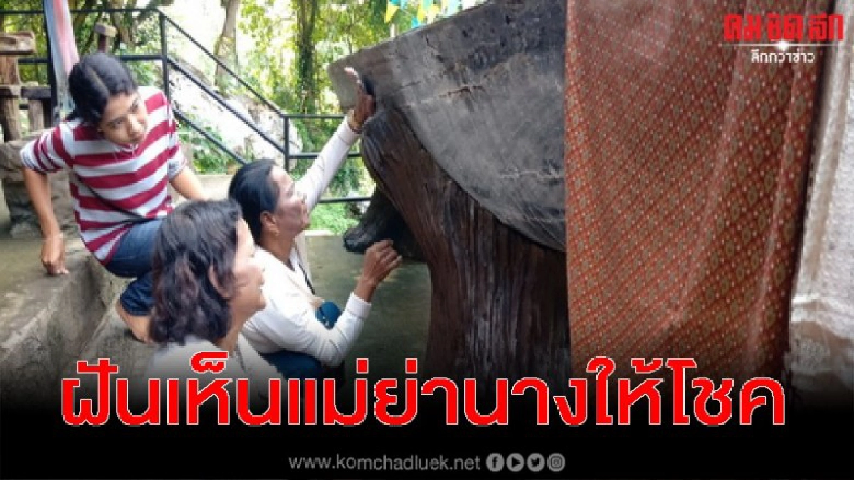 คอหวยแห่ส่อง เรือตะเคียนโบราณ หลังฝันเห็นแม่ย่านางมาให้โชค