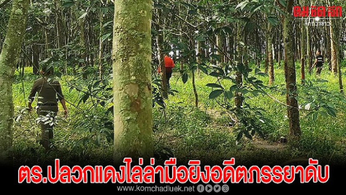 ตำรวจปลวกแดง ปูพรมไล่ล่าคนร้ายยิงอดีตภรรยาดับ ตำรวจปลวกแดง ปูพรมไล่ล่าคนร้ายยิงอดีตภรรยาดับ