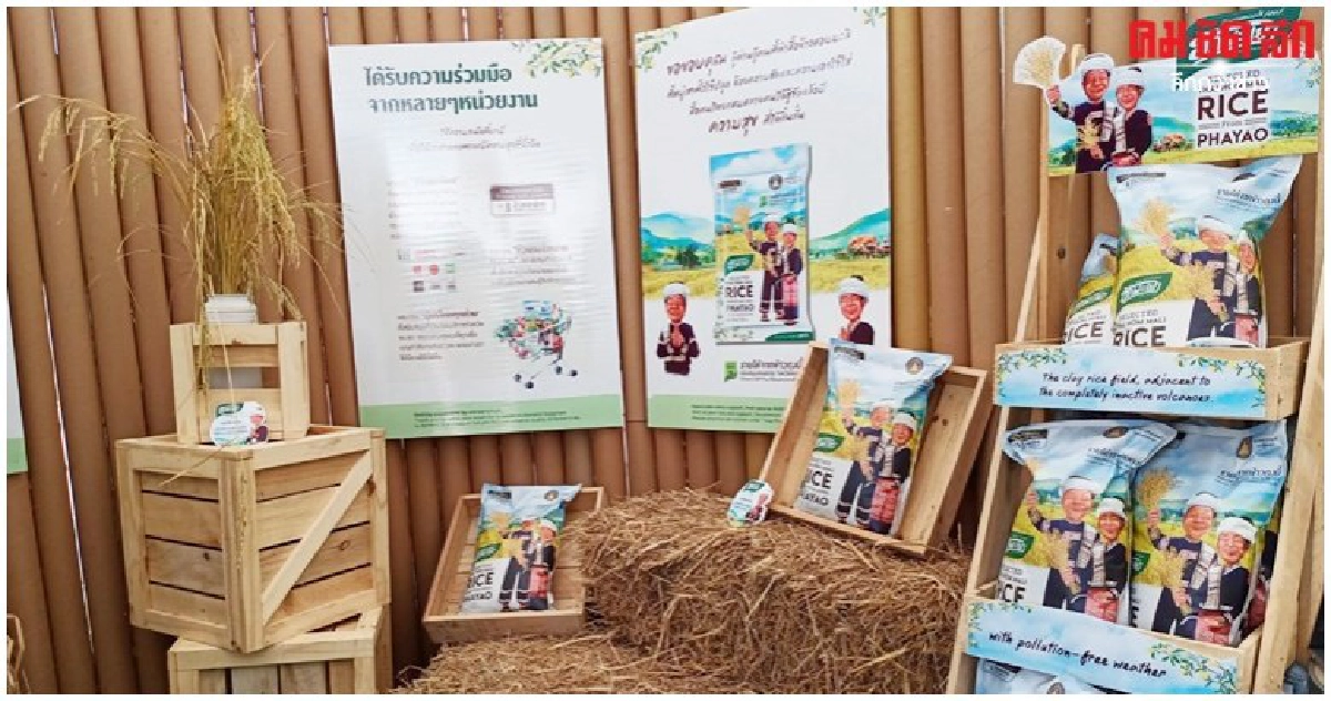 โกอินเตอร์ เอ็มโอยู ดันข้าวฮัก พะเยา สู่ตลาดโลก