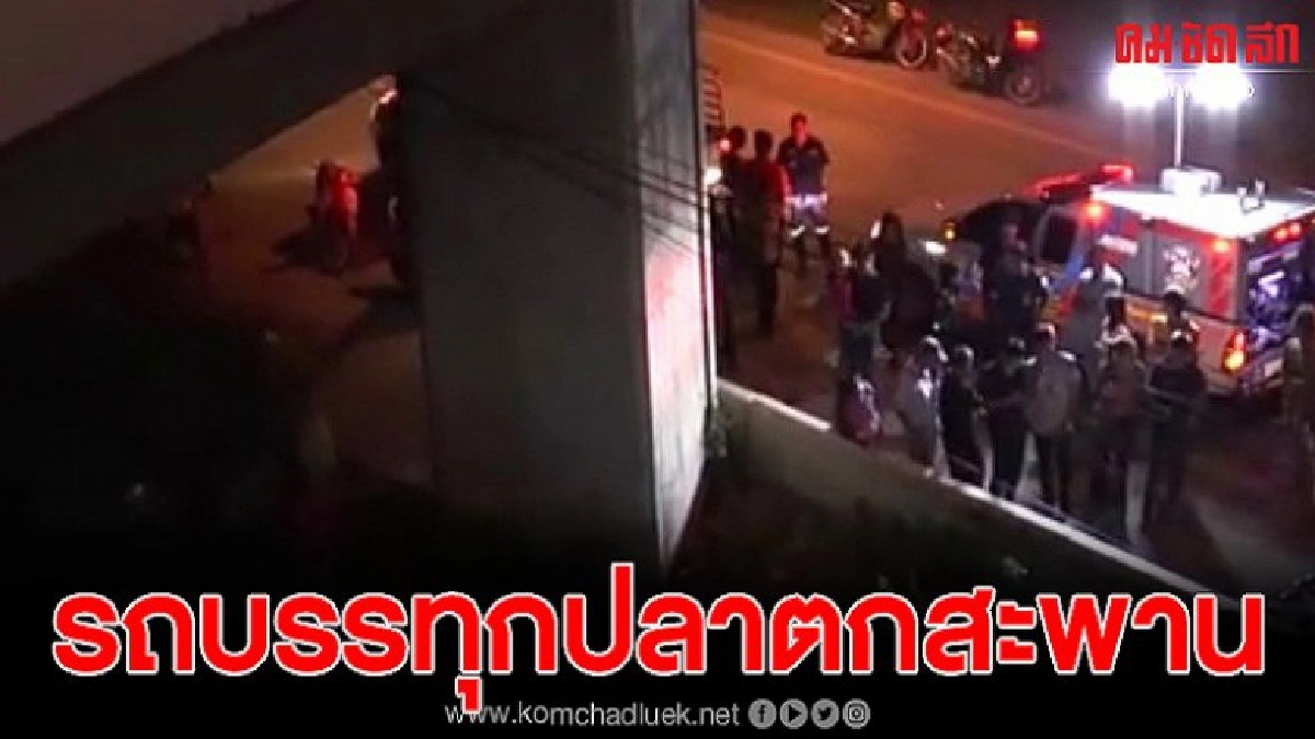ฉะเชิงเทรากะบะบรรทุกปลาดุกเหินข้ามสะพานต่างระดับตกลงมาเจ็บ 2
