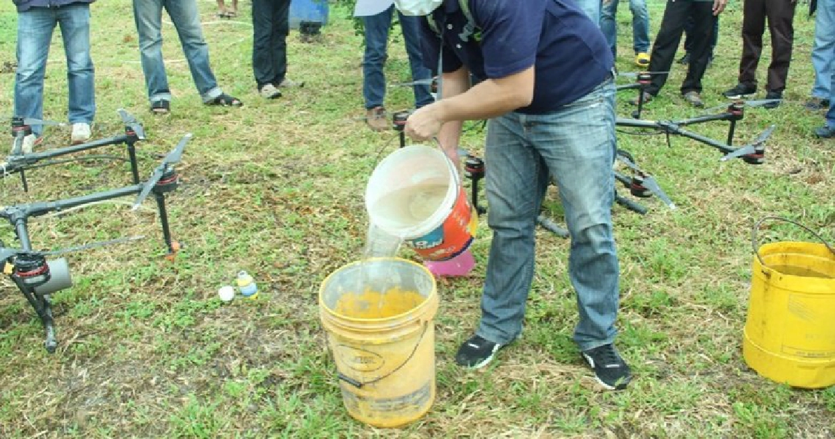 ปฏิบัติการโดรนพ่นสารกำจัดเชื้อรายับยั้งโรคใบร่วง