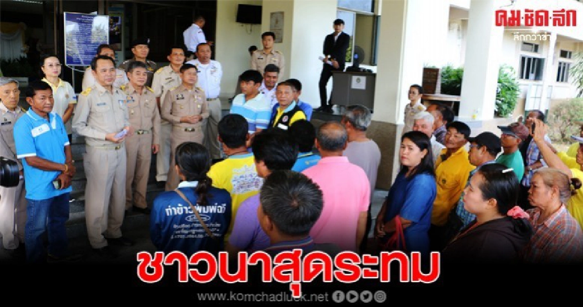 ชาวบ้านลุกฮือวอนรัฐบาลเร่งช่วยเหลือราคาข้าว ชาวบ้านลุกฮือวอนรัฐบาลเร่งช่วยเหลือราคาข้าว