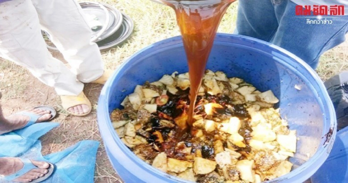 เฉลิมชัย  ดันเกษตรกร ผลิตปุ๋ยอินทรีย์ใช้เอง