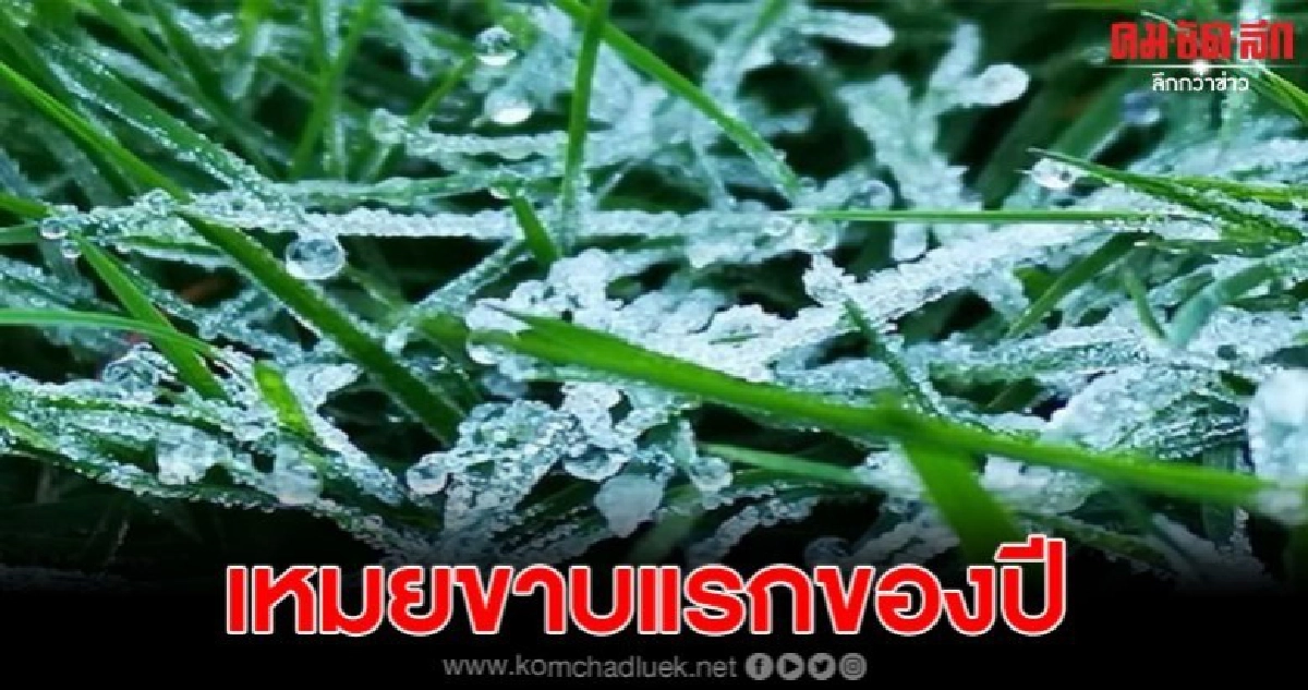 นทท.แห่ชมน้ำค้างแข็ง หรือ เหมยขาบแรกของปี โผล่แล้ว นทท.แห่ชมน้ำค้างแข็ง หรือ เหมยขาบแรกของปี โผล่แล้ว