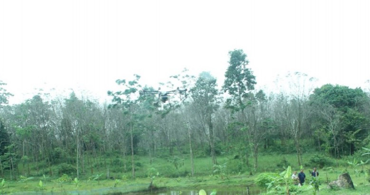 ปฏิบัติการโดรนพ่นสารกำจัดเชื้อรายับยั้งโรคใบร่วง