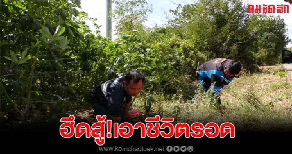 สาวถูกไอ้โม่งถีบจยย.ล้ม-มัดมือเท้า หวังขืนใจ