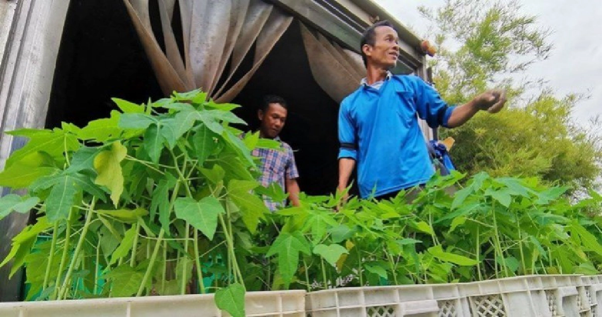 เร่งช่วยเกษตรกรกระทบสารพัดภัยพิบัติ